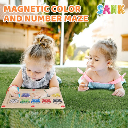 Magnetisk färg & nummer labyrint